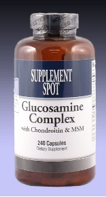 GLUKOSAMINE/CHONDRO-MSM, 500 mg, 240 cap