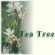 discount tea tree oil products, discount natural skin care products, TEA TREE OIL GEL